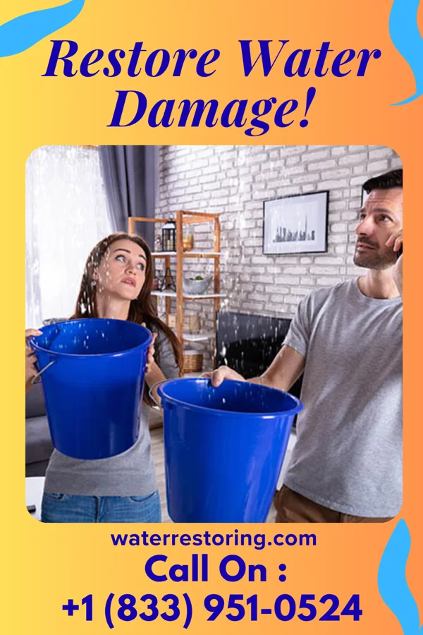 water restoration Golden Disaster Recovery Force Jenison